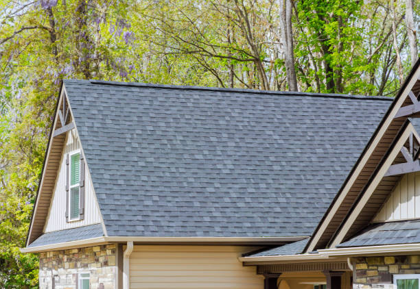 Best Green or Eco-Friendly Roofing Solutions  in Lumbine, CO